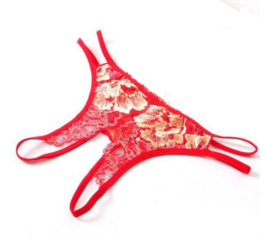 Sheer Lace Sexy Panties