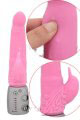 Sensual Pink Dolphin Rabbit Vibrating Dildos