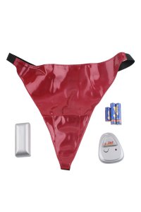 Climax Remotes Pleasure Play Vibrating Panty