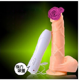 Facete Shake Massage Simulation Stick Cyber Skin Dildos