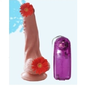 Shake Massage Simulate Masturbation Dildos