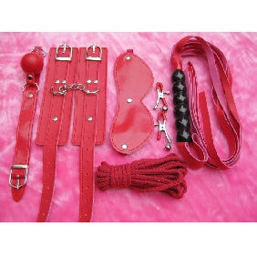 Whip Blinders Gags Rope Handcuffs Fancy 7 Sets SM Toys