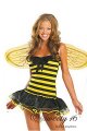 images/v/20110808/12789930163839.jpg