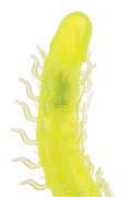images/v/20110808/12904237811904_1.jpg