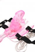 images/v/20110808/1291014307492_2.jpg